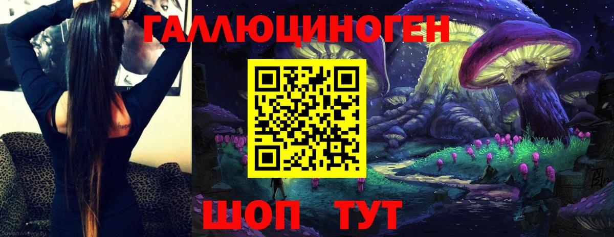 Кострома  Галлюциногенные грибы прущие грибы  Вход с VPN 