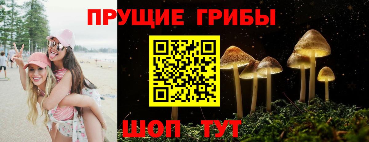 Псилоцибиновые грибы MAGIC MUSHROOMS Кострома